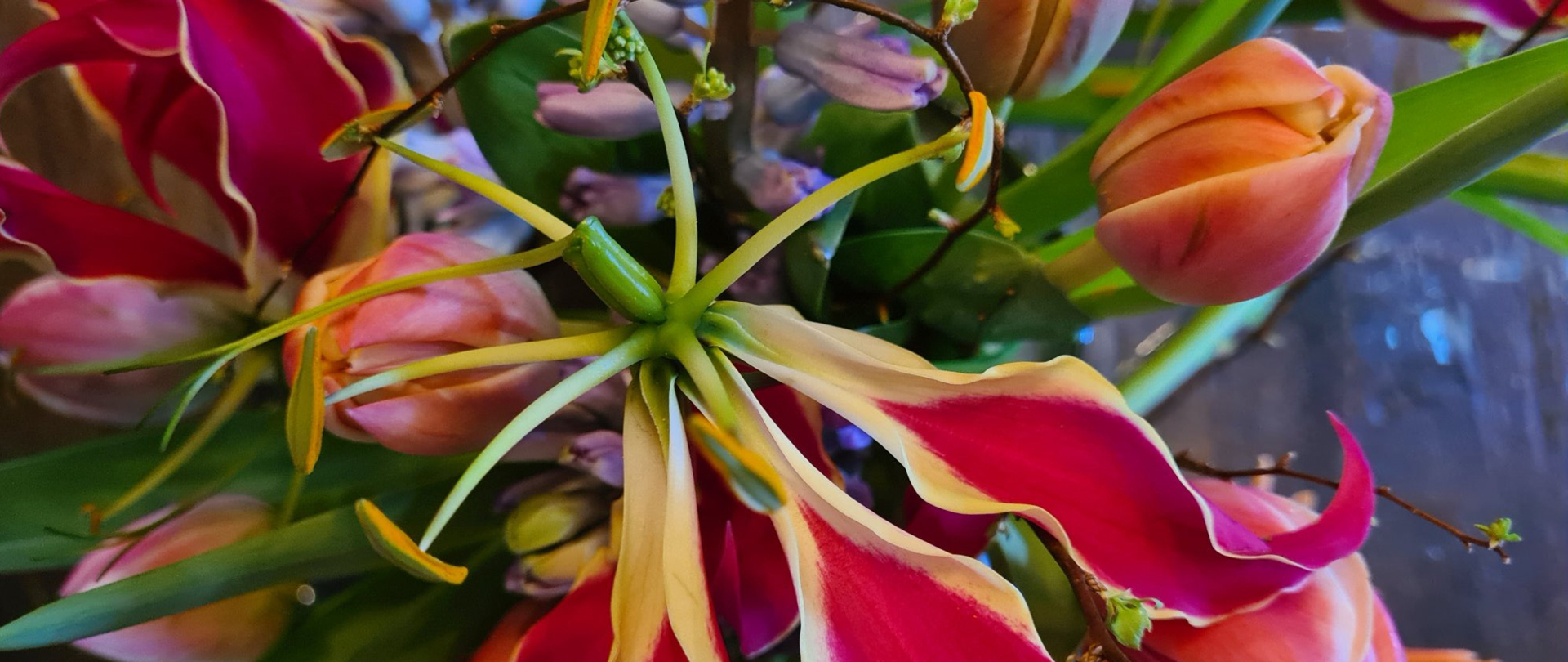 /media/veuby5zq/bloemen-bestellen-online-winkel-bloemist-wonen-interieur-bloemenzaak_bloemsierkunst-de-beleving-huissen-header-03.jpg